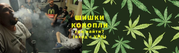 прущие грибы Армянск