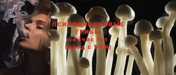 mix Арсеньев