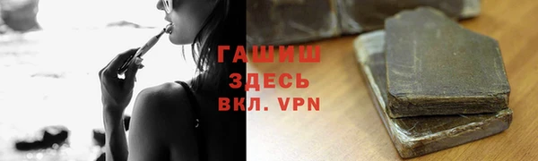 прущие грибы Армянск