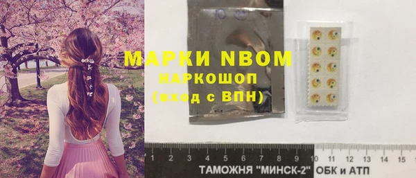 прущие грибы Армянск
