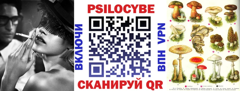 Купить где  Черногорск  Псилоцибиновые грибы ЛСД 